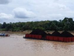 Pemprov Jambi Siapkan Skema Operasional Batu Bara dengan Optimalisasi Jalur Sungai