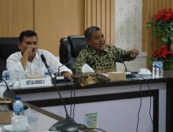 Komisi II Rapat Dengar Pendapat Dengan PT PLN Persero UP 3 Area Jambi