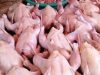 Kinerja Disperindag Diduga Mandul, Tak Terkendali, Harga Ayam Potong Melambung Tinggi di Pasar Kuala Tungkal