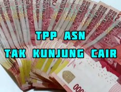 Apakah TPP Akan Di Bayarkan Hingga Desember 2024, Ini Jeritan Suara Hati ASN Tanjab Barat