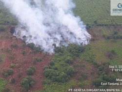 Karhutla di Lokasi Seismik Petrochina, Perkumpulan Hijau: Kepolisian Harus Tegas