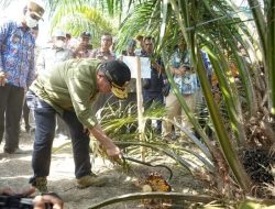 Gubernur Jambi minta warga lakukan pembukaan lahan tanpa bakar