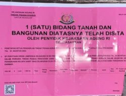 Penyitaan PT DMP Bukan Akhir Cerita: Siapa di Balik Pemanenan Kebun yang Kini Jadi Sorotan?